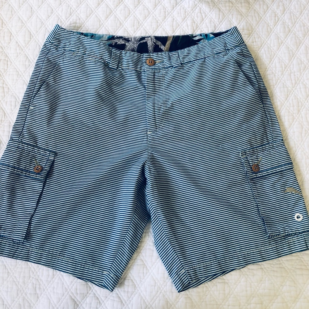 Tommy Bahama Bright Blue and White Striped Cargo Shorts